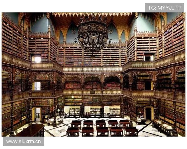 尊龙d88首页热门游戏推荐及玩法攻略助你快速上手赢大奖