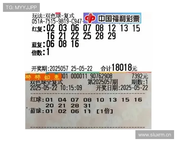 海德体育网址官方网站如何进行安全投注与风险控制